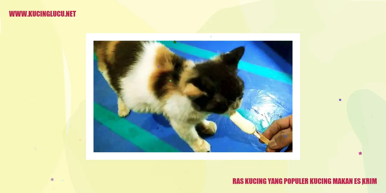 Kucing Makan Es Krim