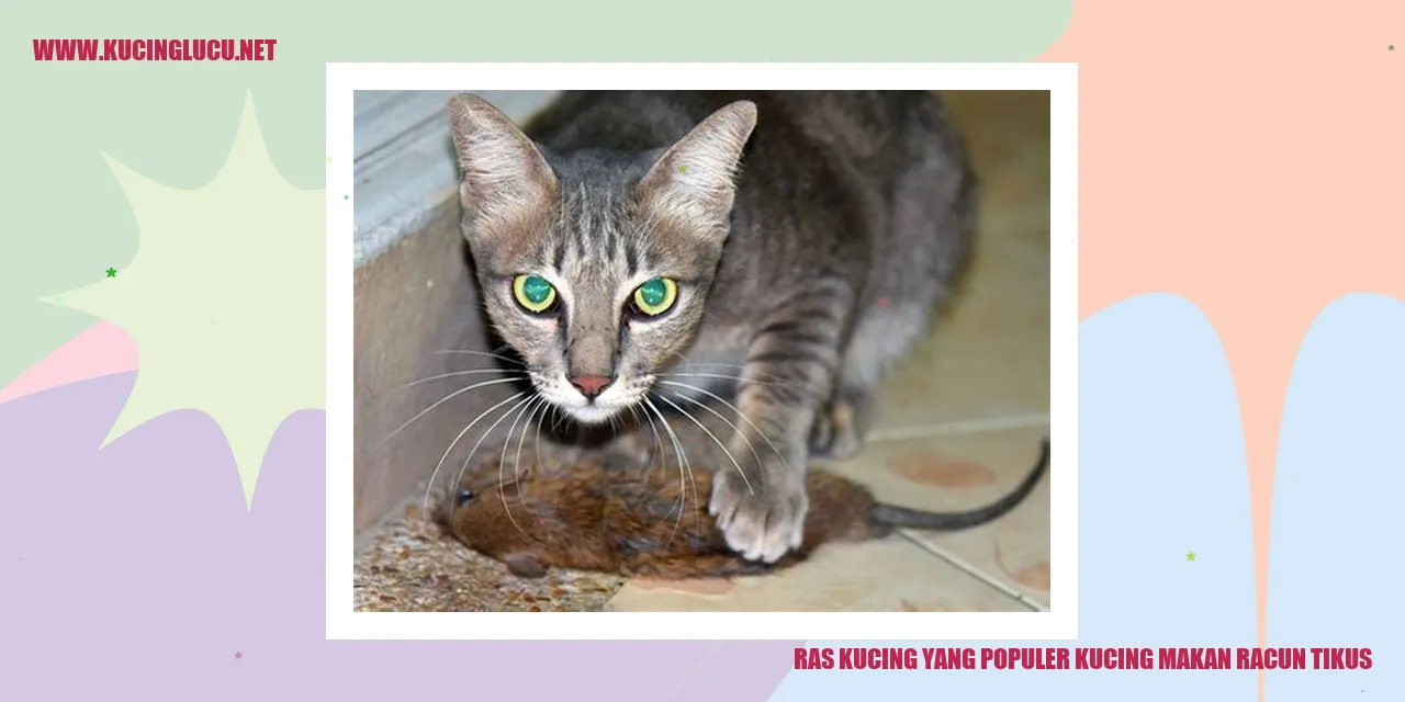 Ilustrasi Ras Kucing yang Populer