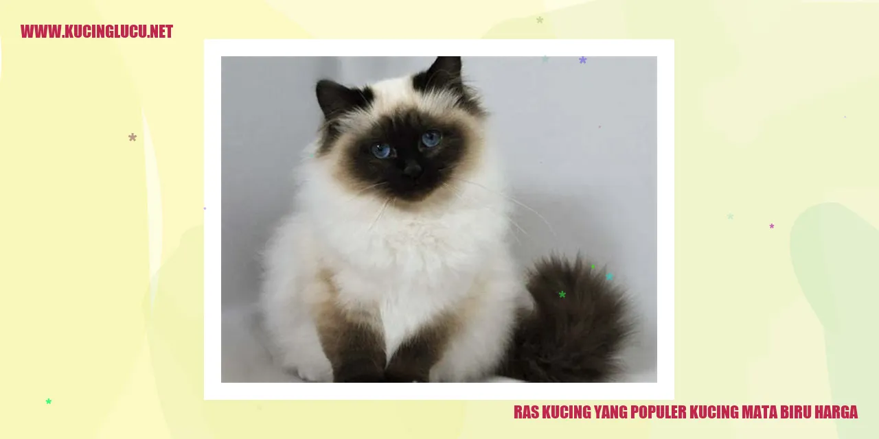 Syndrome Kucing Mata Biru