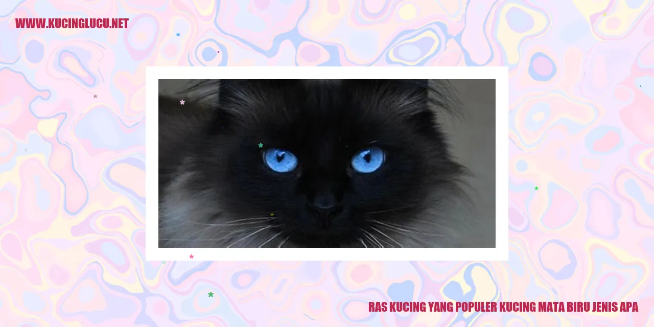 Kucing Mata Biru