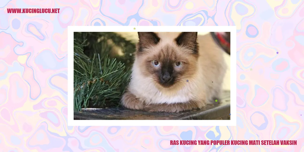Ras Kucing yang Populer kucing mati setelah vaksin