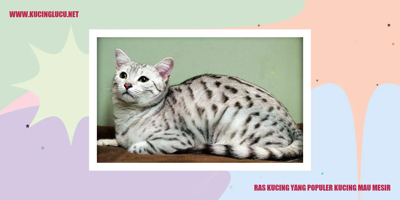 Kucing Mau Mesir