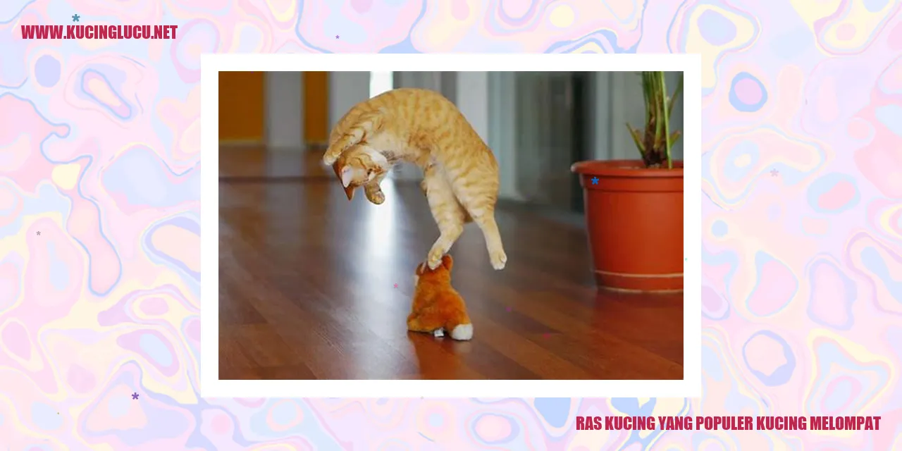 Kucing Melompat yang Terkenal