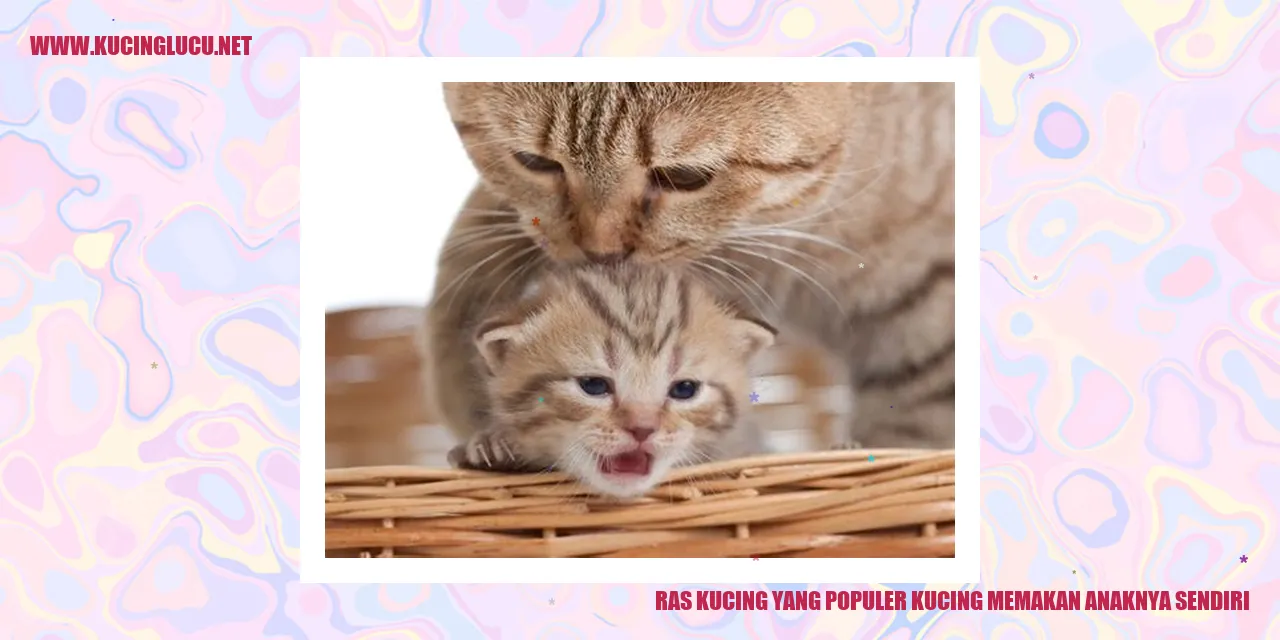 Ras Kucing yang Populer: Kucing Memakan Anaknya Sendiri