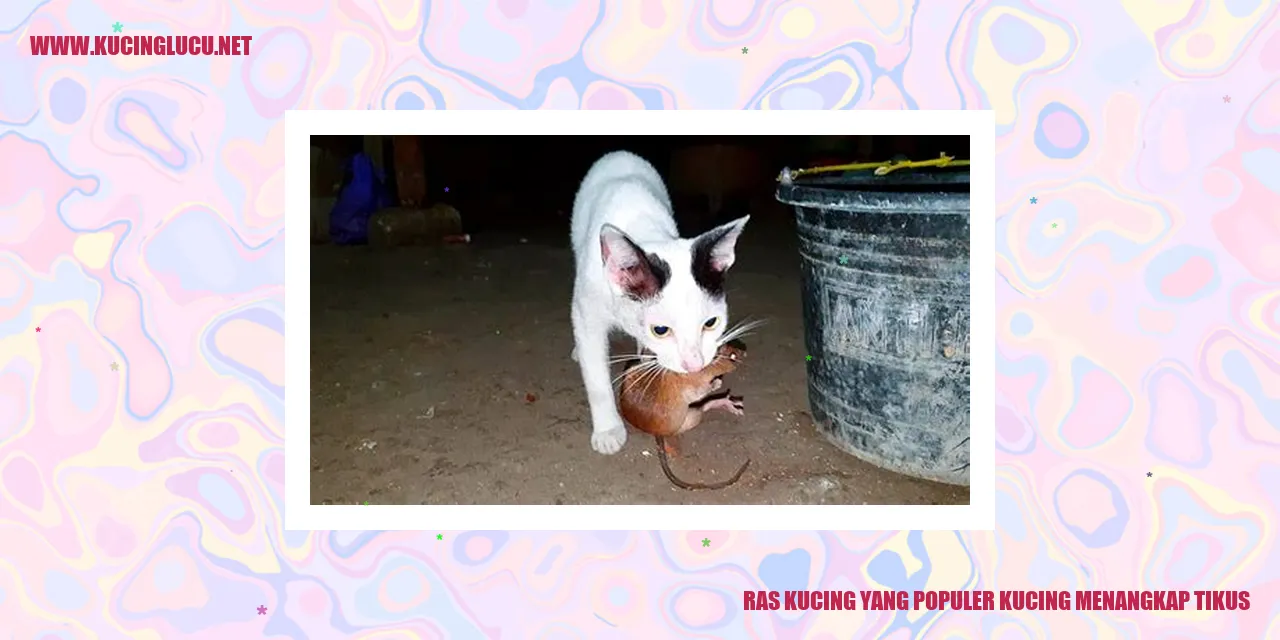 Jenis kucing pilihan yang terampil menaklukkan tikus