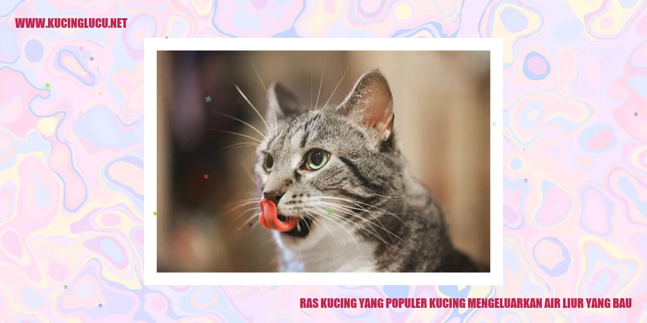 Ras Kucing yang Populer kucing mengeluarkan air liur yang bau