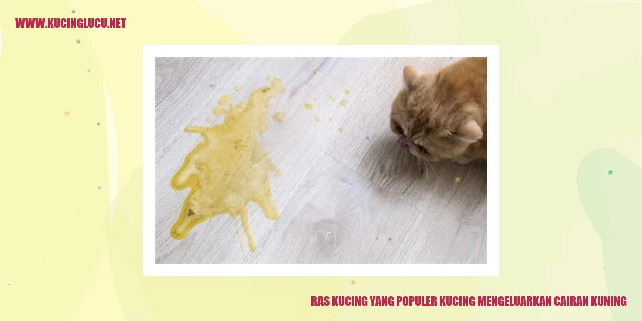 Kucing Populer
