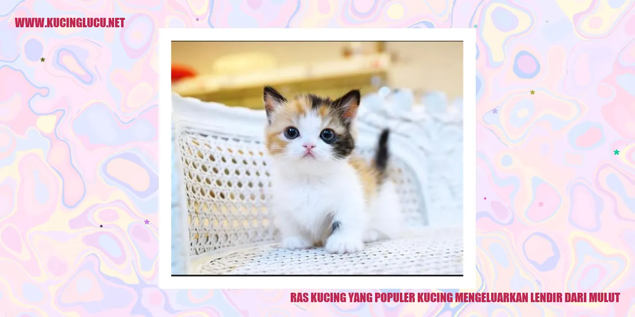 Gambar Kucing dengan lendir di mulut
