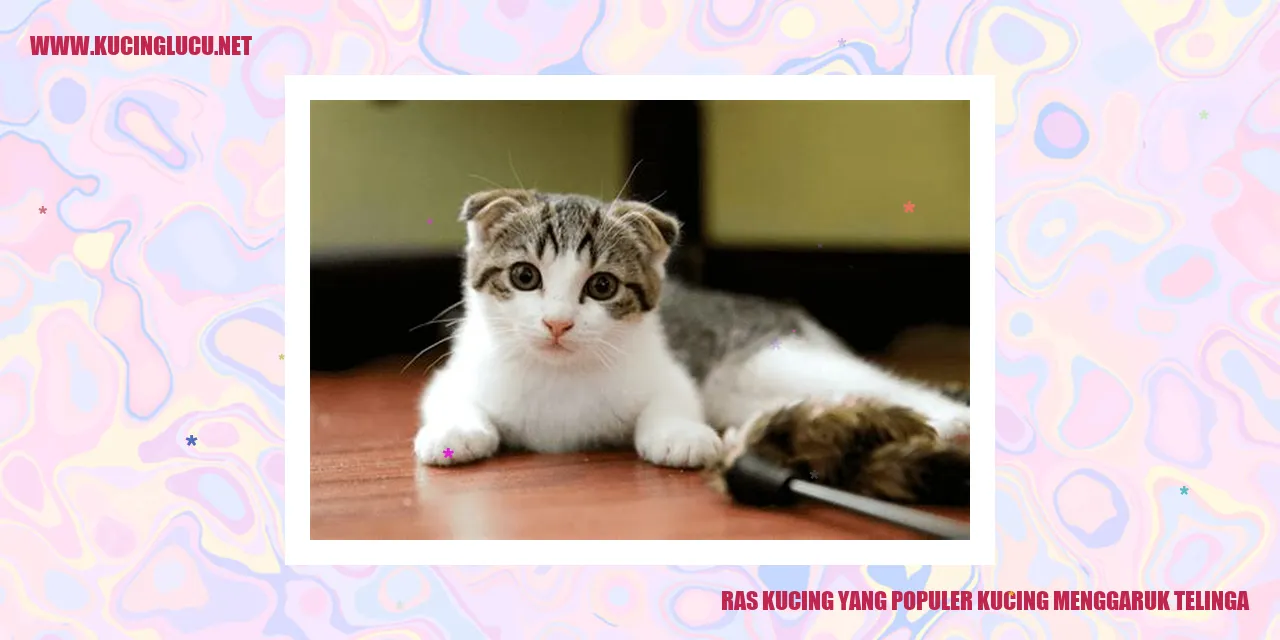 Ras Kucing yang Populer kucing menggaruk telinga