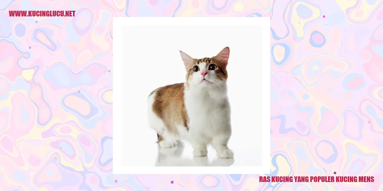 Ras Kucing yang Populer