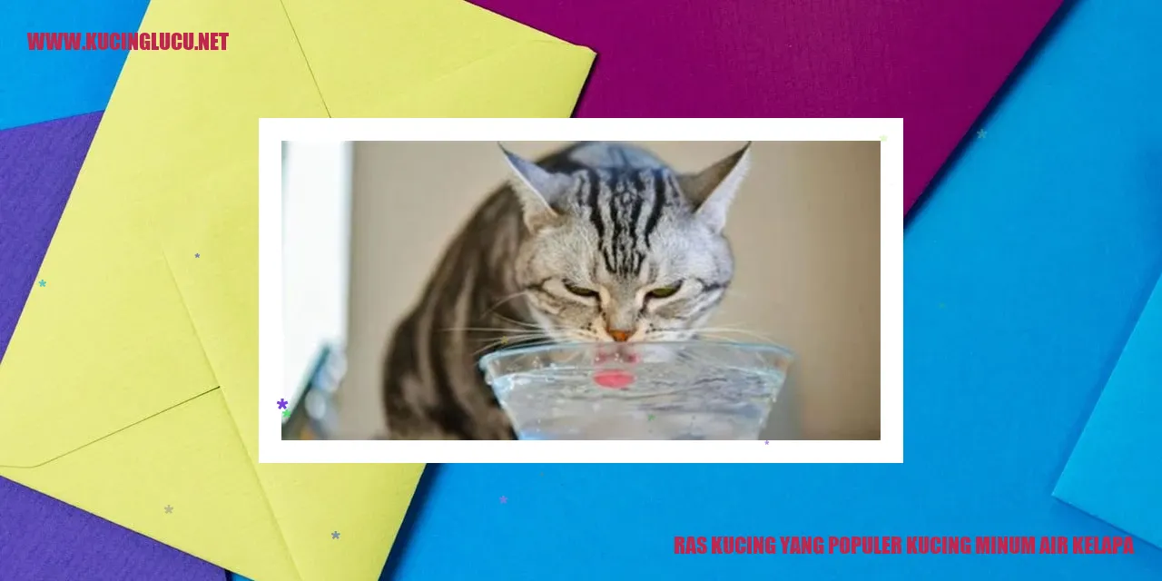 Kucing Minum Air Kelapa