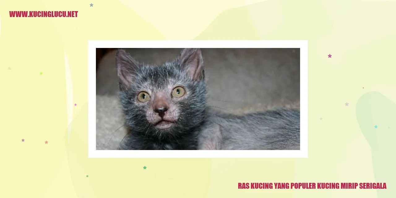 Kucing Populer yang Menyerupai Serigala: Ras Kucing yang Mendominasi