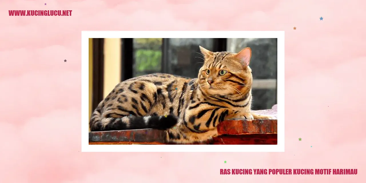 Kucing dengan Motif Harimau