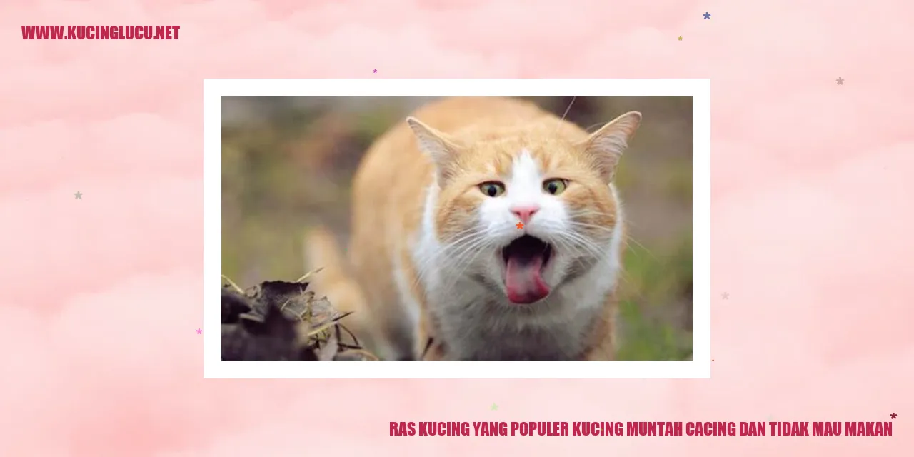 Ras Kucing yang Populer Kucing Mengeluarkan Cacing dan Enggan Makan