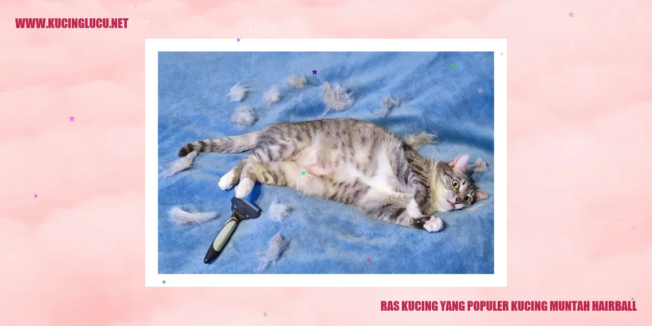 Kucing Muntah Hairball