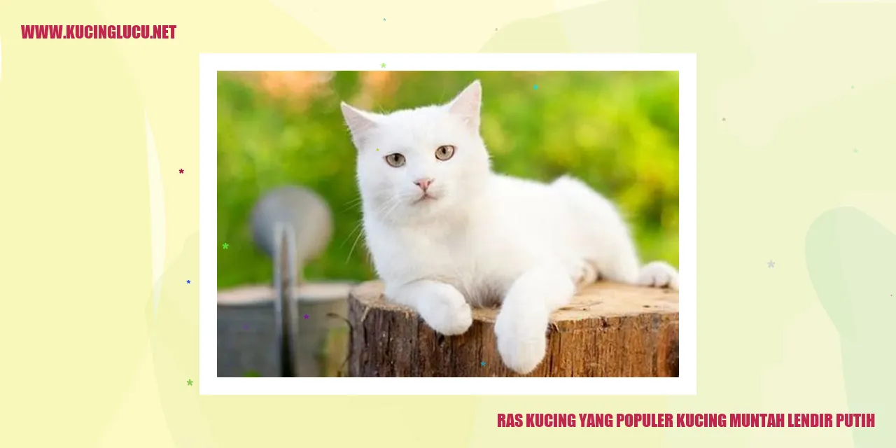 Kucing Muntah Lendir Putih