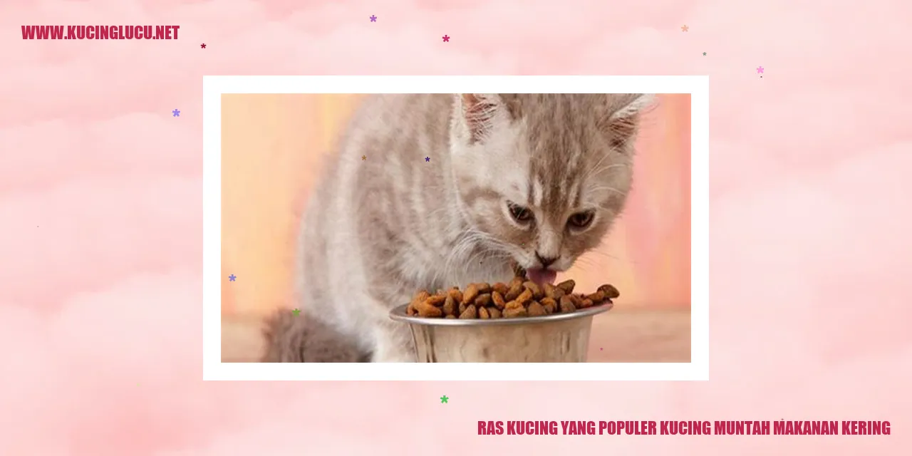 Kucing muntah makanan kering