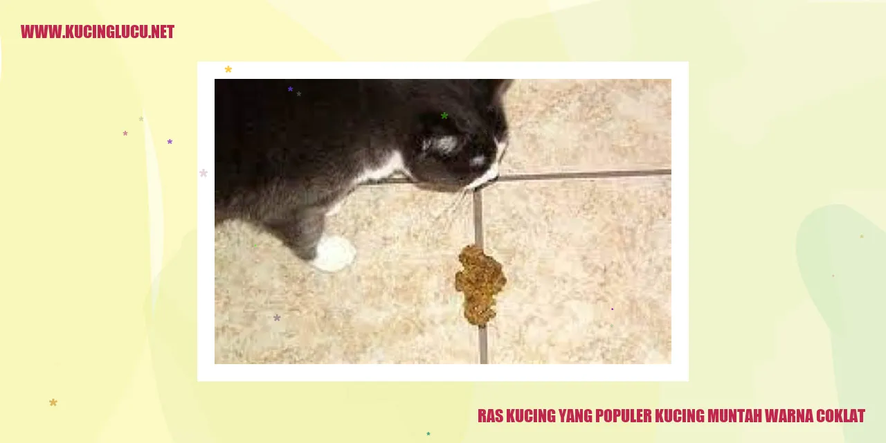 Kucing Muntah Warna Coklat