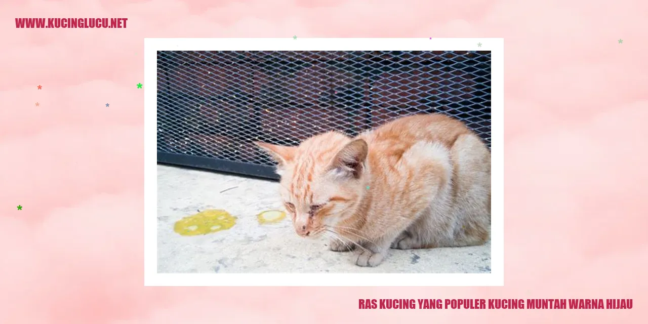Gambar Kucing Muntah Warna Hijau