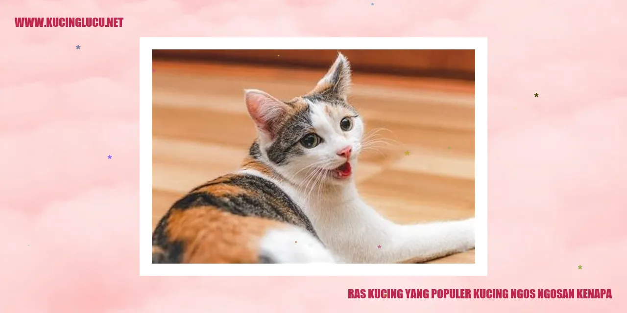 Ras Kucing Populer