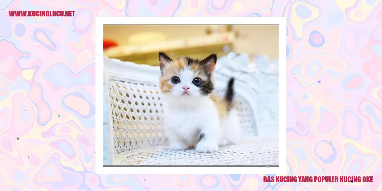 Ras Kucing yang Terkenal Sangat Menarik