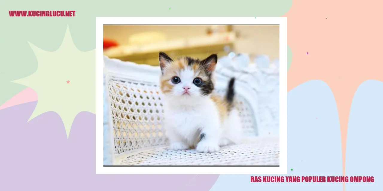 Ras Kucing yang Populer: Kucing Ompong
