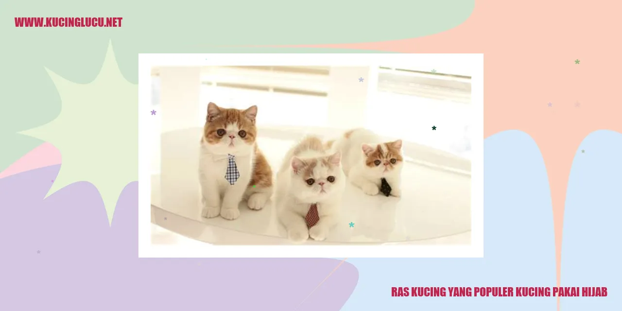 Kucing Pakai Hijab