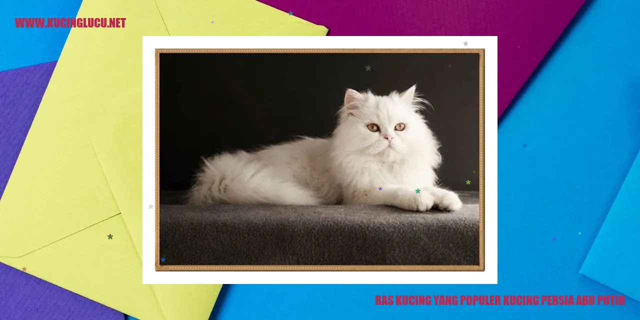 Kucing Persia Abu Putih