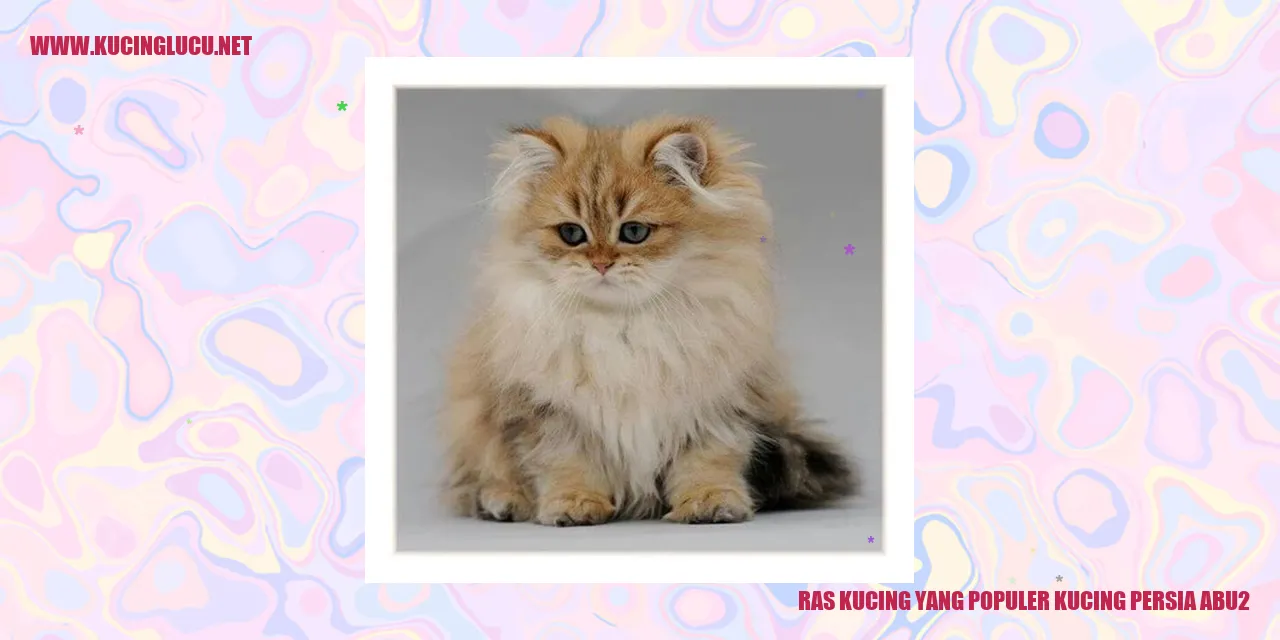 Kucing Persia Abu-abu