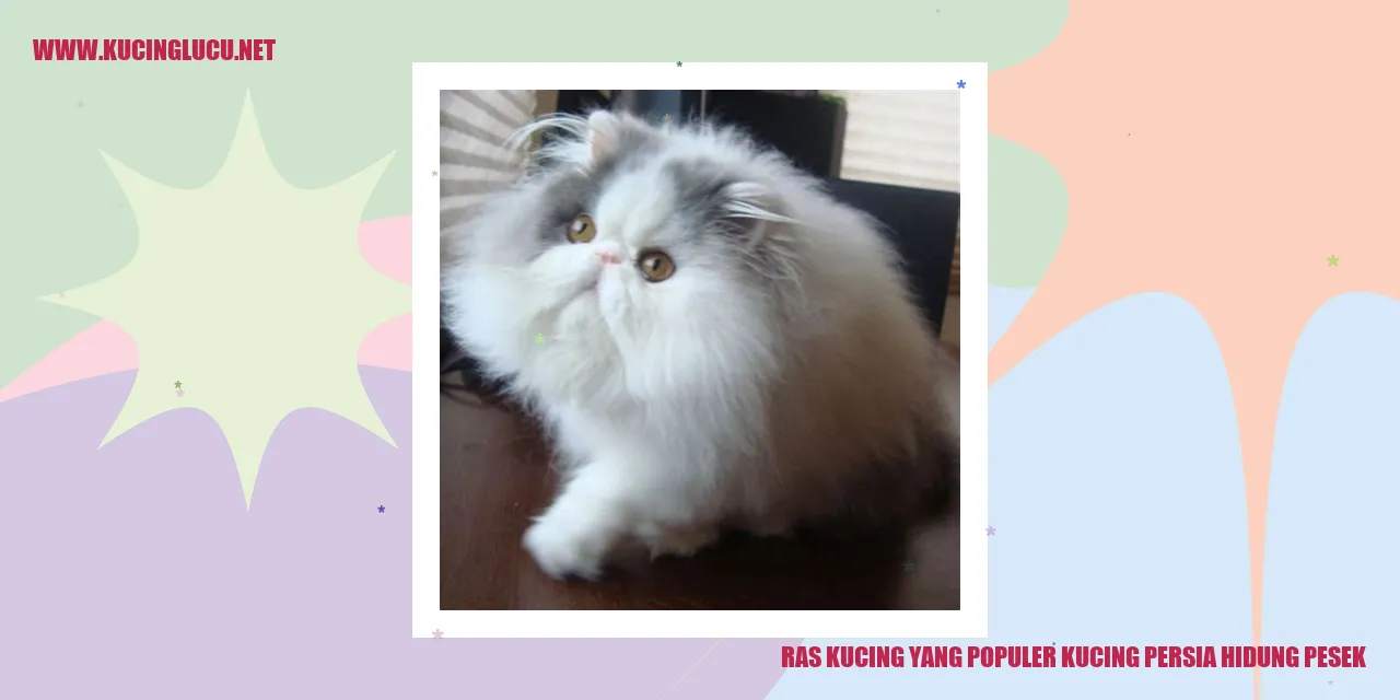 Kucing Persia Hidung Pesek