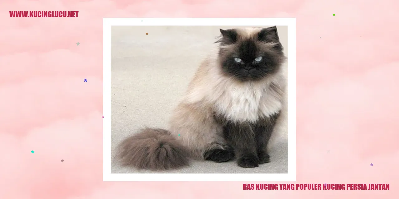 Potret Memesona Kucing Persia Jantan
