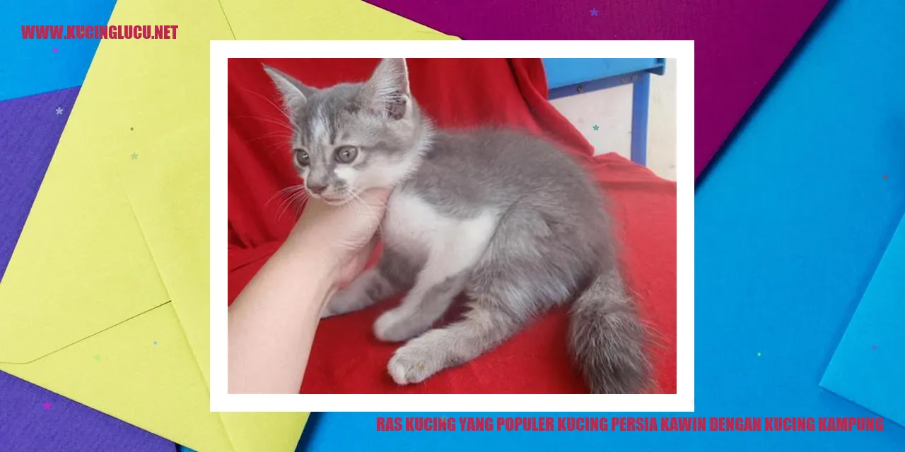 Ras Kucing yang Populer