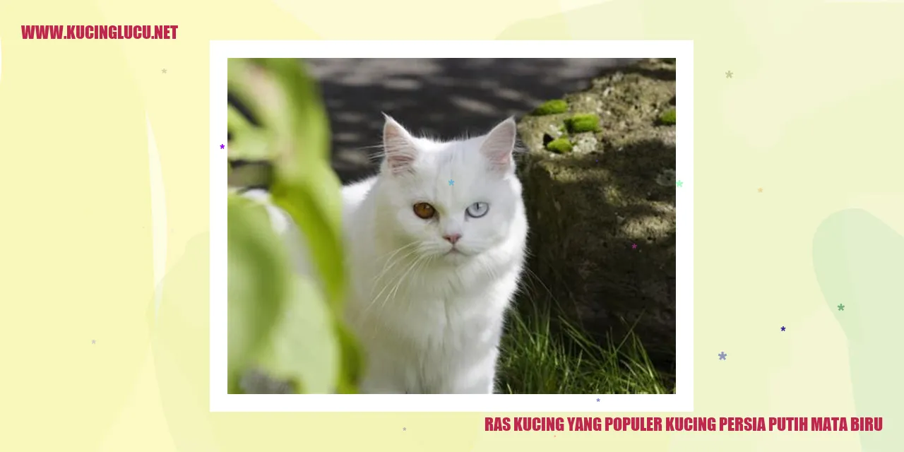 Ras Kucing yang Populer kucing persia putih mata biru