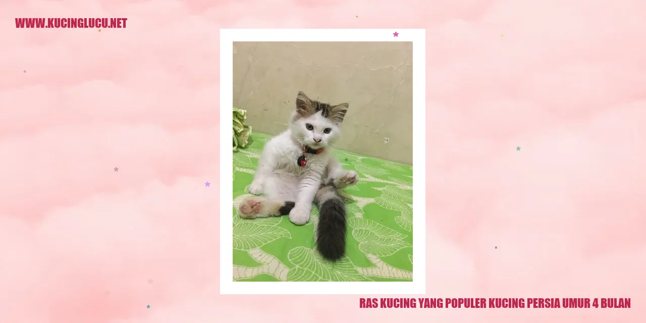 Kucing Persia Terkenal