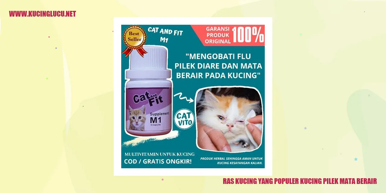 Ras Kucing yang Terkenal dengan Keluhan Pilek Mata Berair