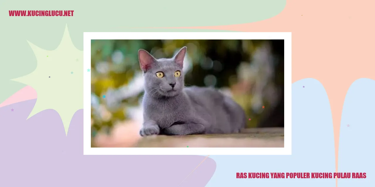 Kucing Pulau Raas
