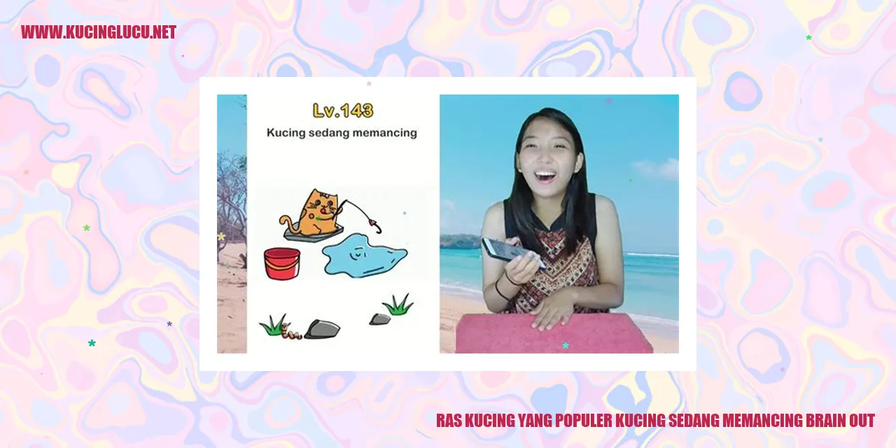 Kucing Populer