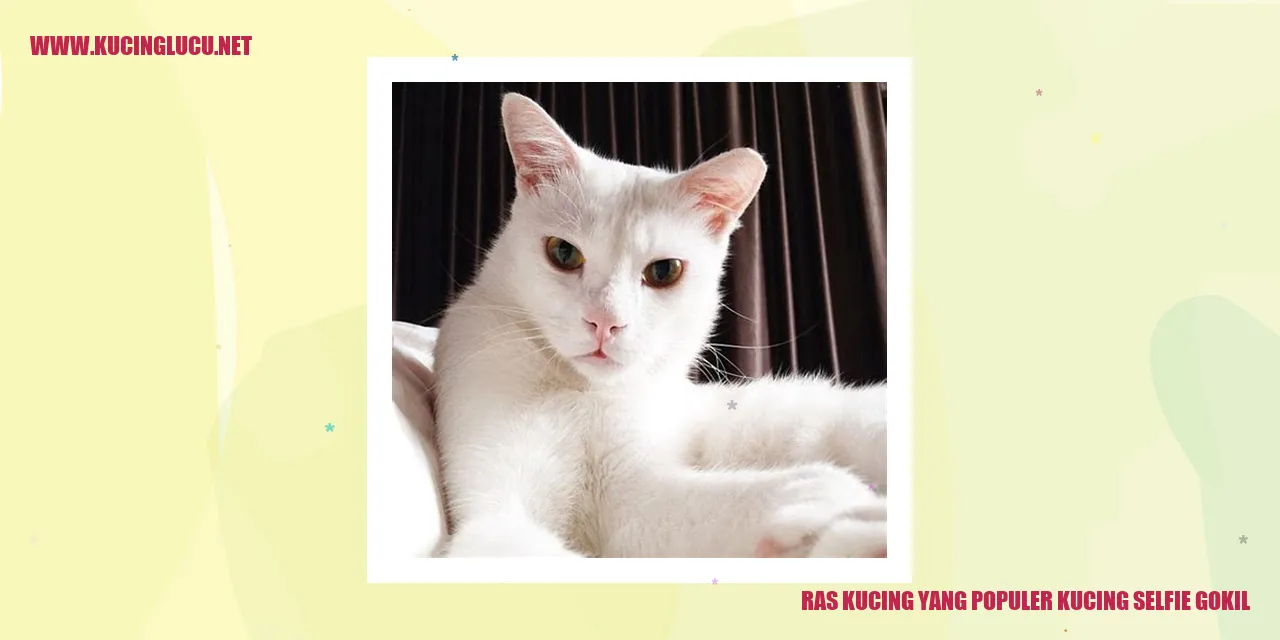 Kucing selfie gokil