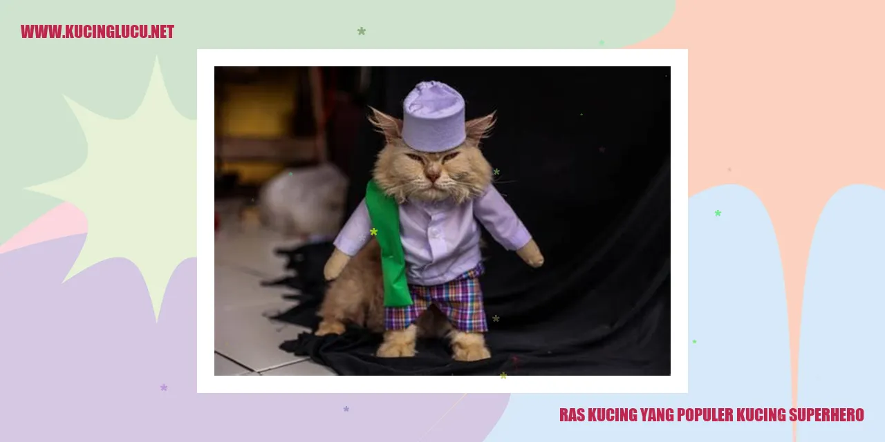 Kucing Superhero
