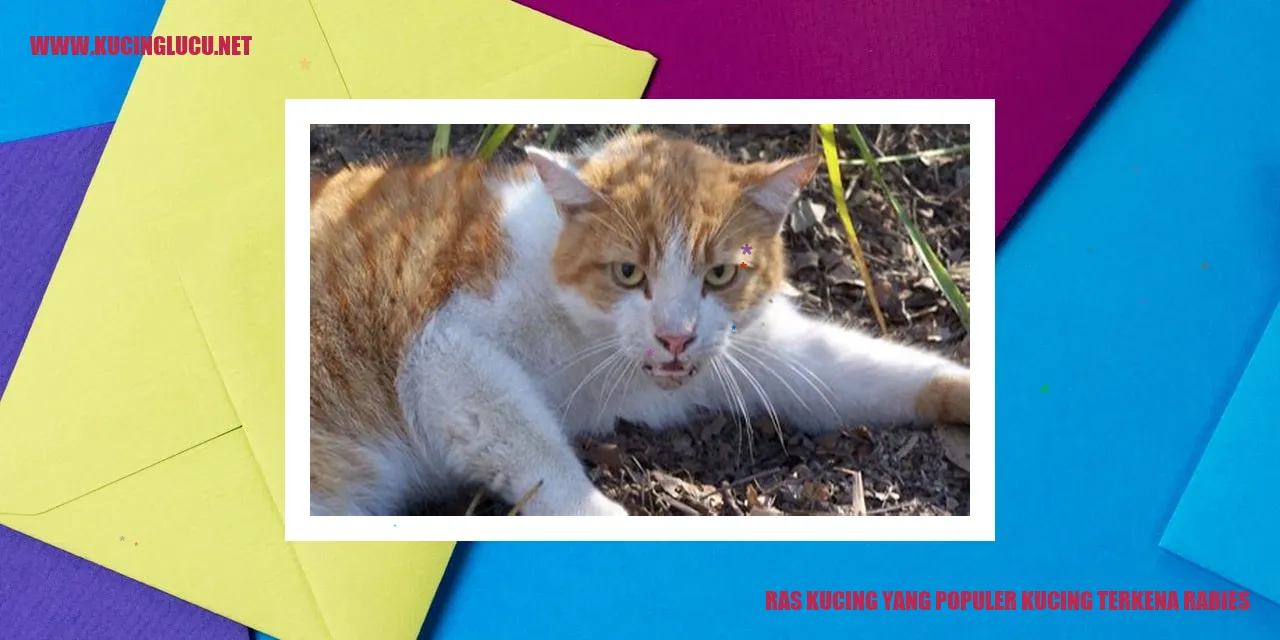 Kucing Terkena Rabies