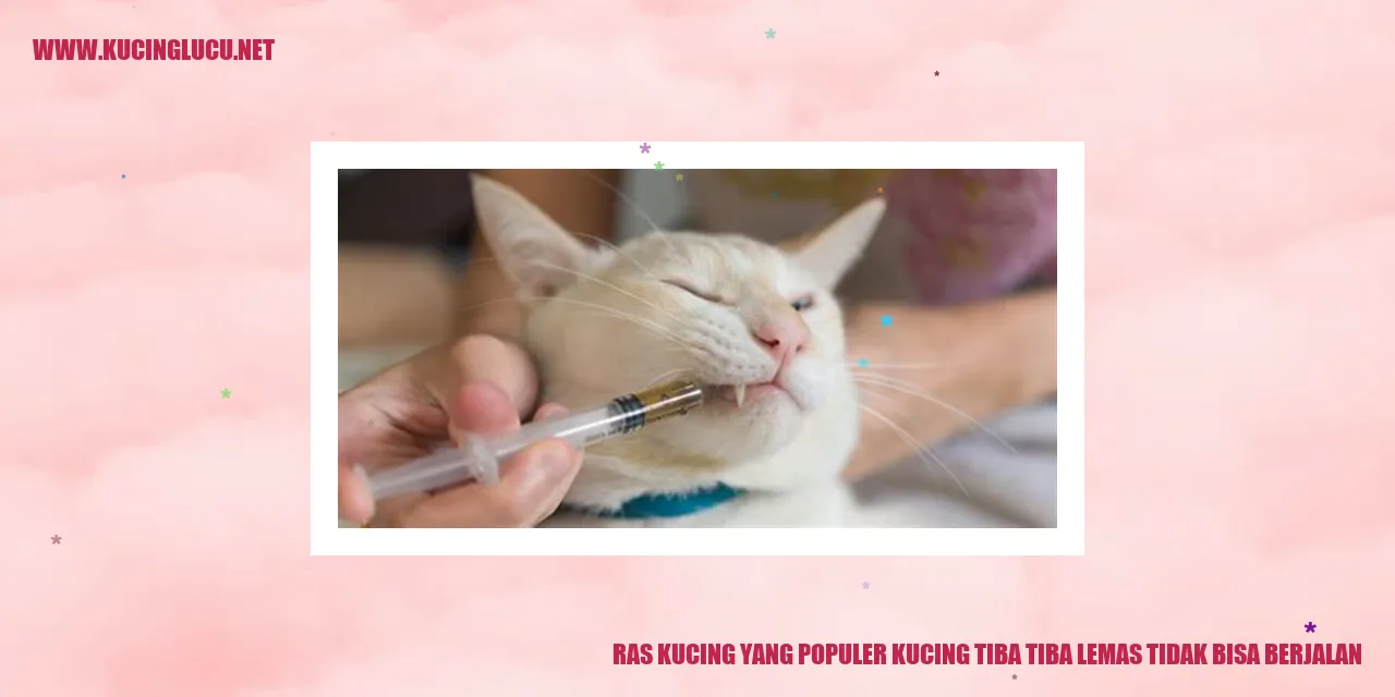 kucing lemas