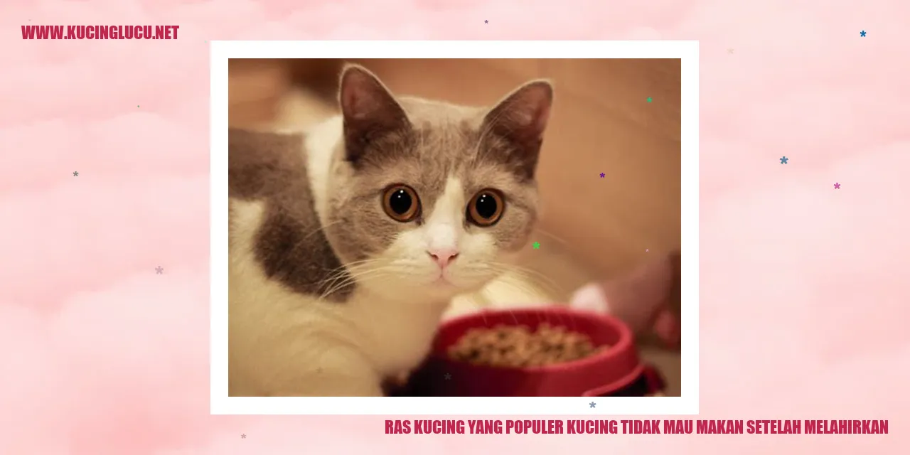 Ras Kucing yang Terkenal