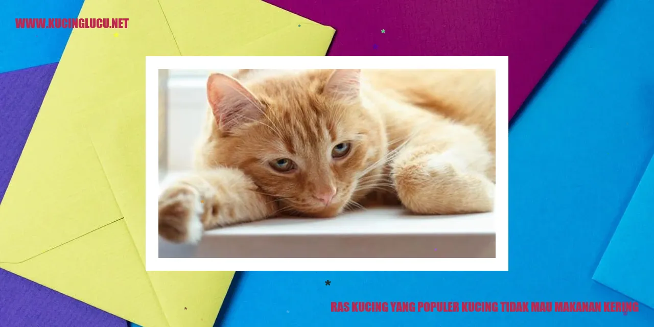 Ras Kucing yang Populer kucing tidak mau makanan kering