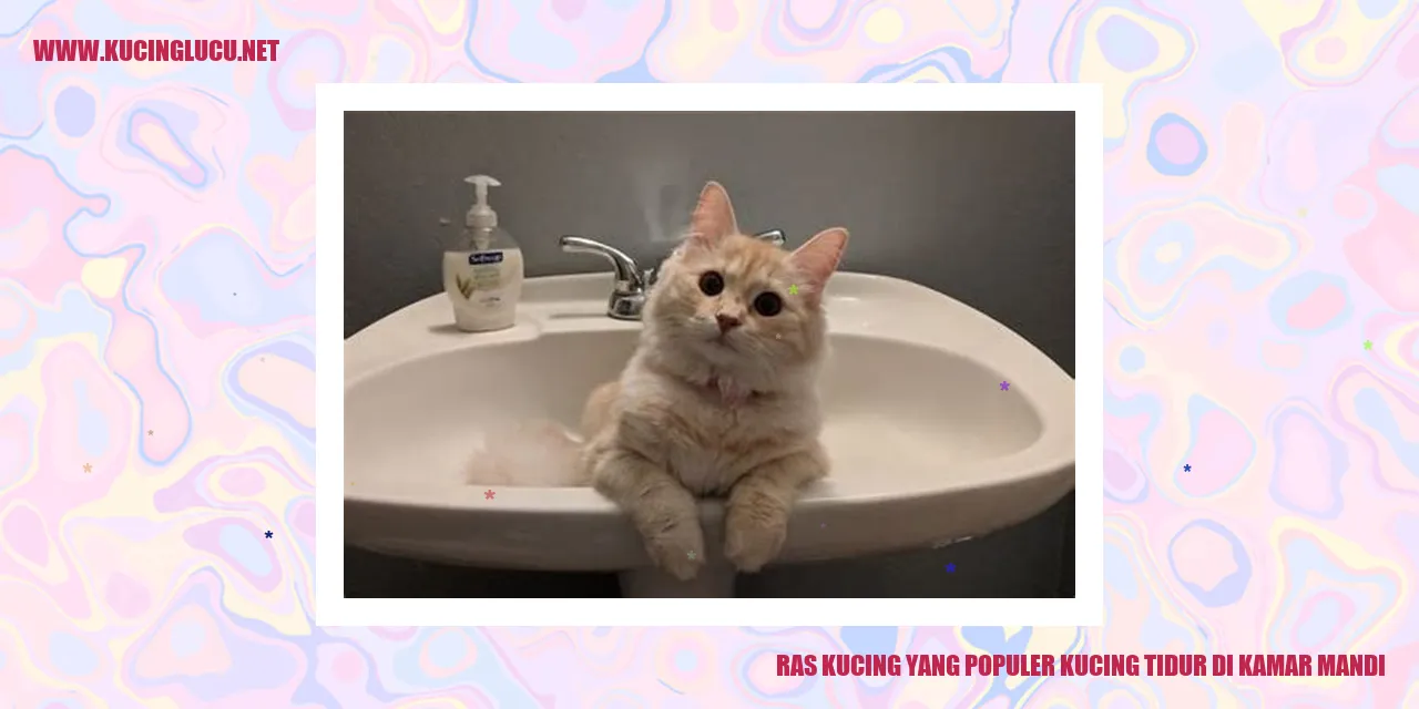 Ras Kucing yang Populer kucing tidur di kamar mandi