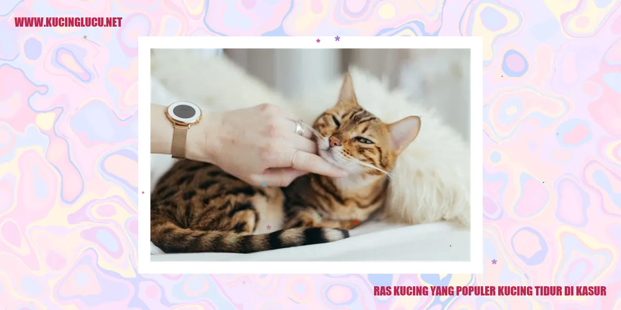 Kucing Menemani Tidur di Tempat Tidur