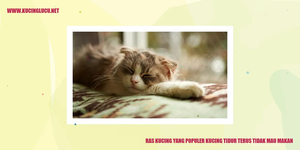 Kucing Tidur
