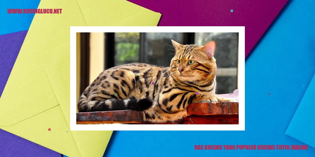 Kucing Totol Macan