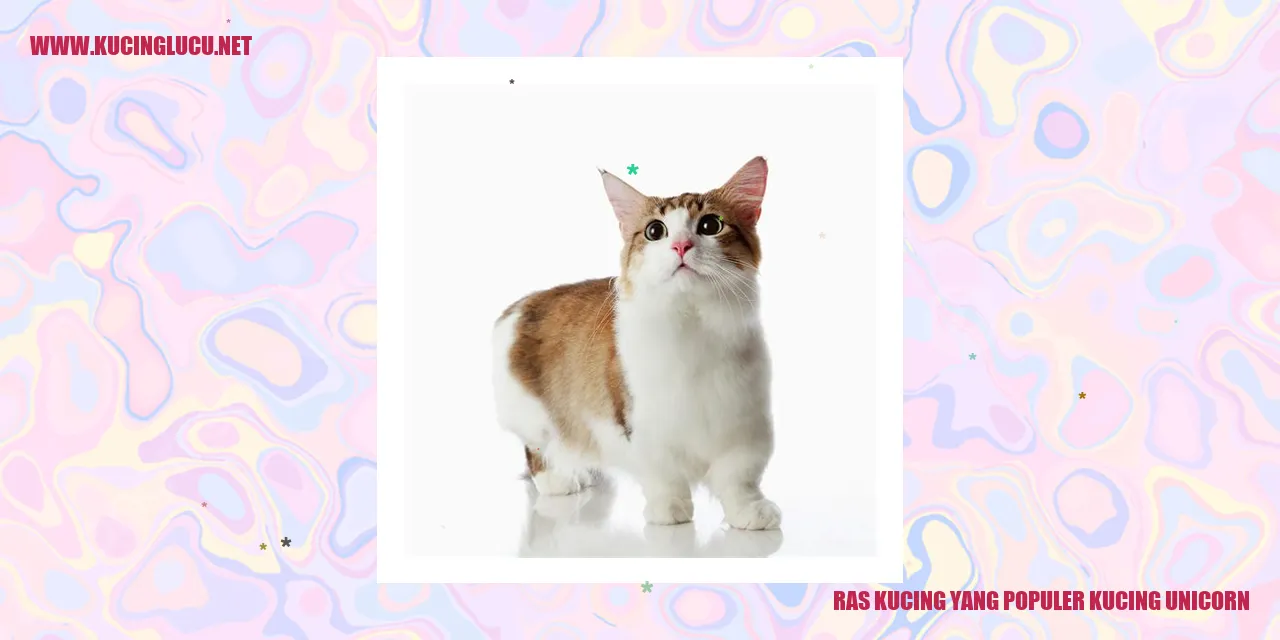 Kucing Unicorn