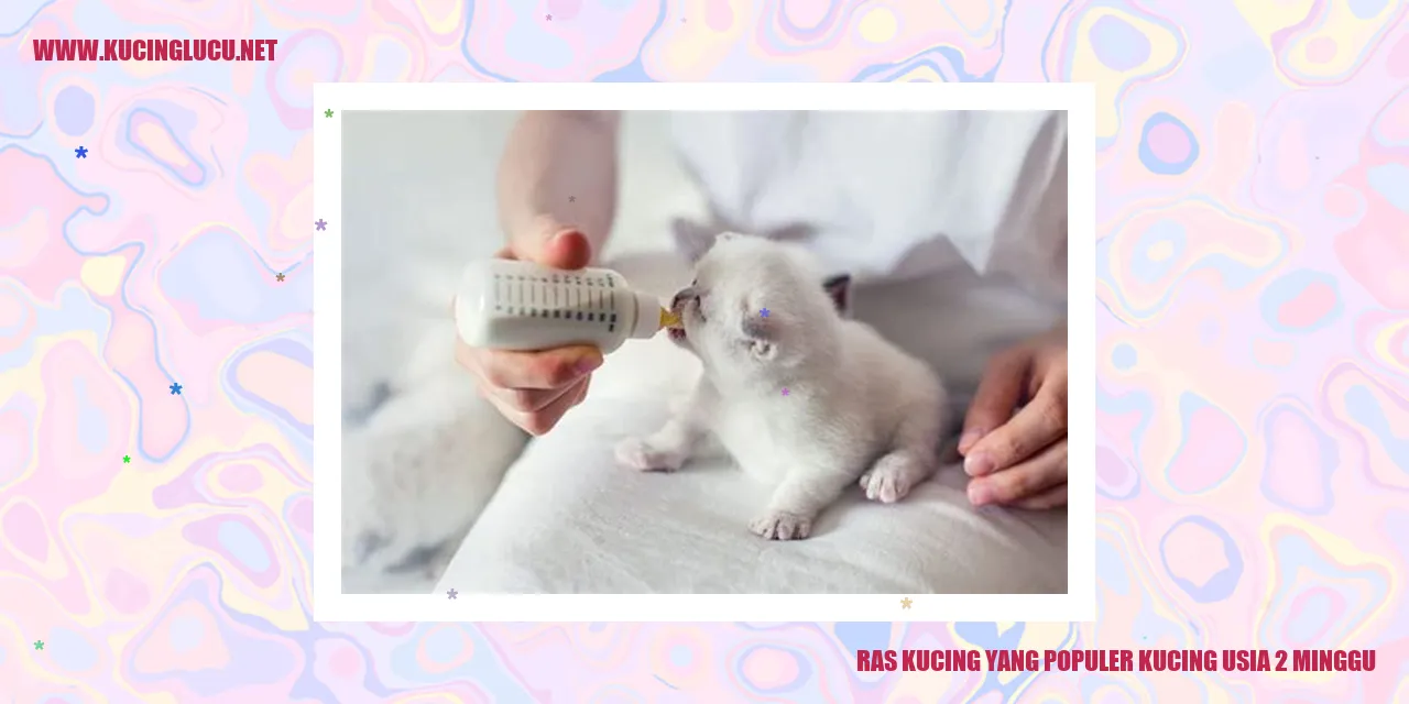 Ras Kucing yang Populer