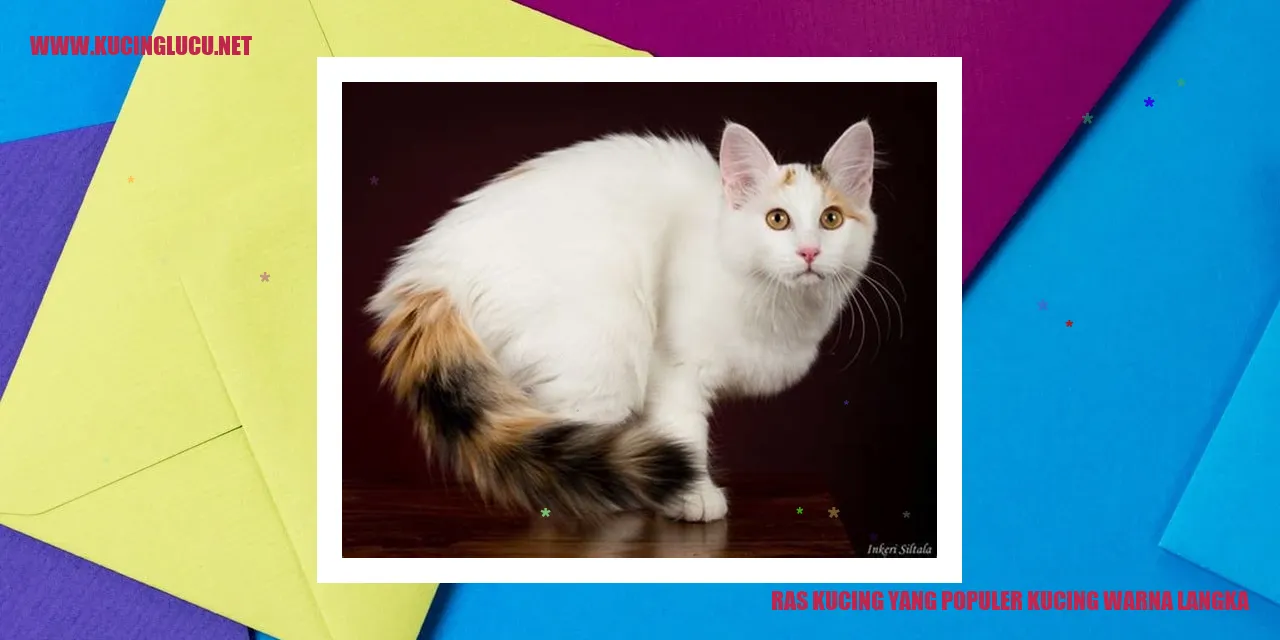 Kucing Warna Langka